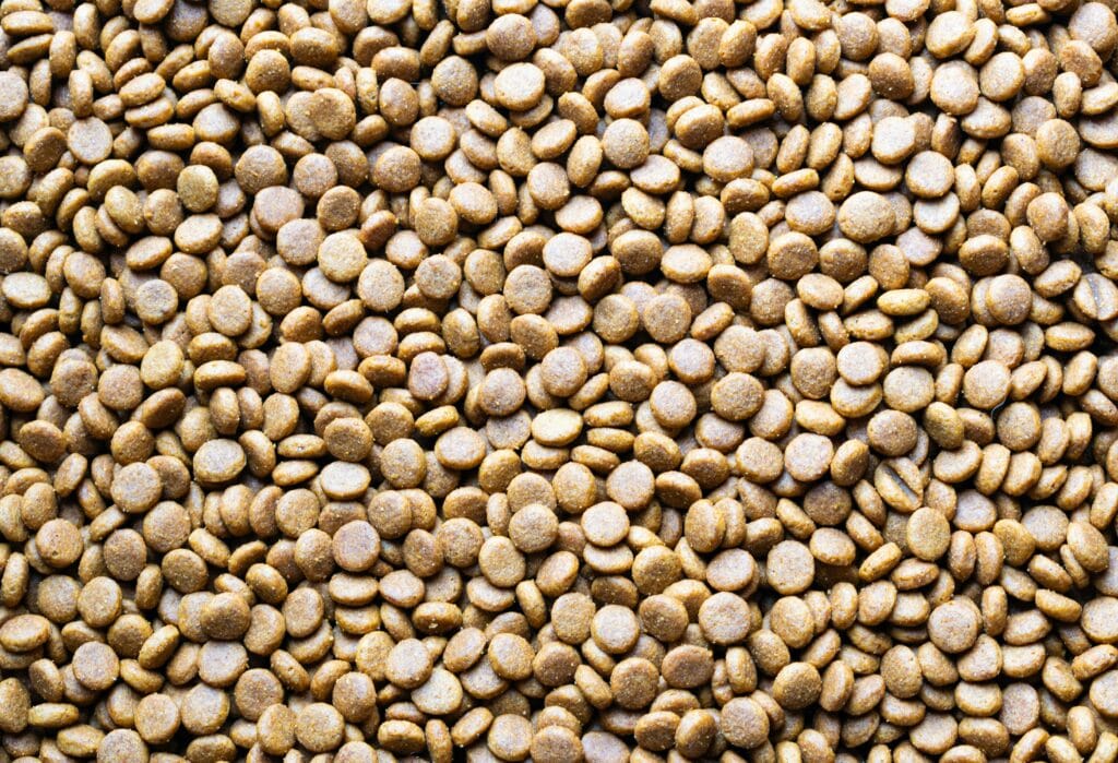 A detailed macro shot of scattered dog food pellets, perfect for pet care themes.
