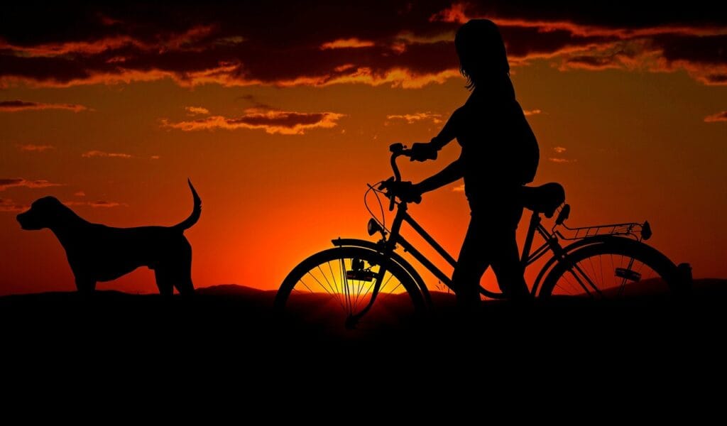 woman, bike, sunset, walk, silhouettes, girl, dog, nature, pet, owner, travel, dusk, twilight, backlighting, orange sky, animal, afterglow