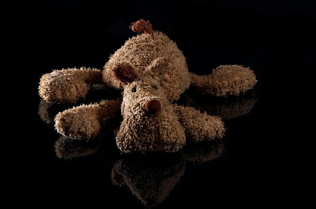 Close-up of a plush dog toy on a reflective black surface, highlighting texture and design.