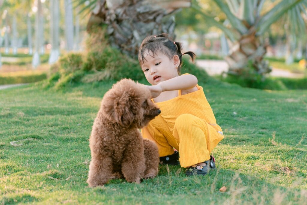 Young girl in a yellow outfit playing with her poodle dog in a sunny park setting.