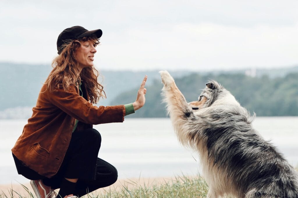 Woman high-fiving her dog at a beach in Jönköping, Sweden. Capturing a joyful bond.