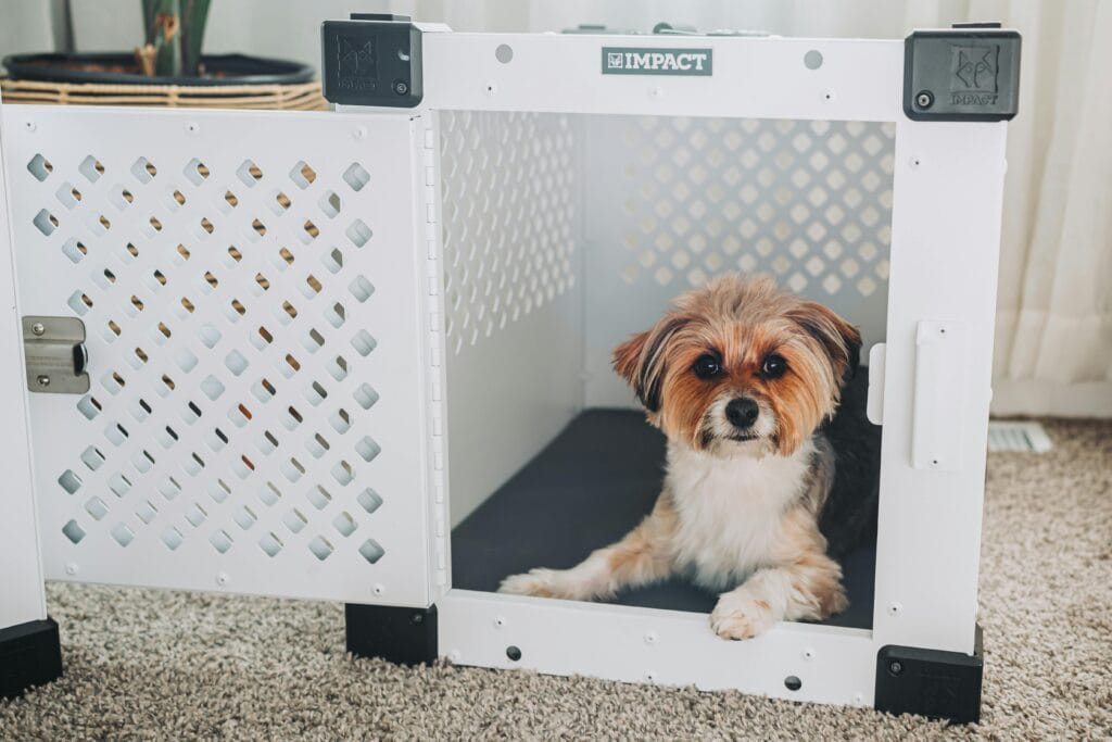 A cute small dog sitting comfortably inside a modern white pet crate on a soft carpet.