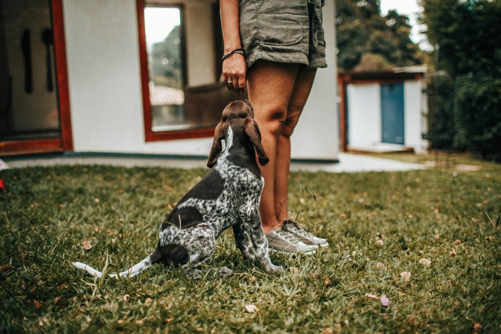 A person stands with a puppy on grass in a backyard setting, showcasing companionship.