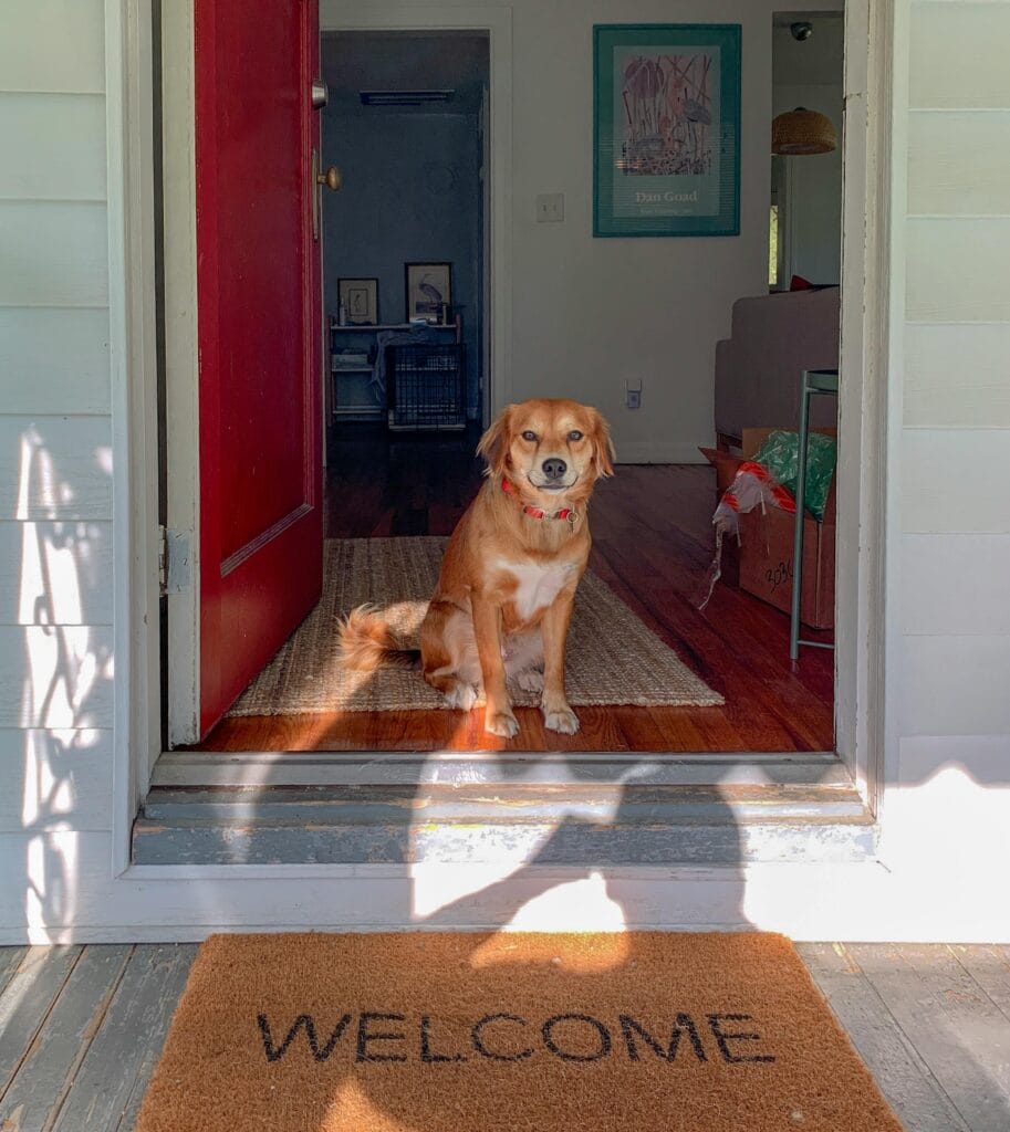 Brown dog sitting by a red door with a welcome mat, creating a warm home entrance.