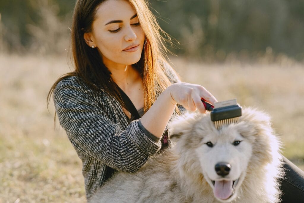 A woman grooming her fluffy dog outdoors in a sunlit field, showcasing pet care and affection.