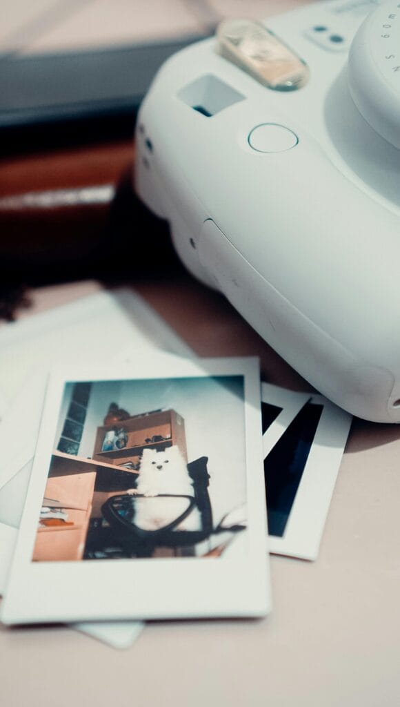 A white dog sitting on a chair captured in a vintage Polaroid with a camera beside it.