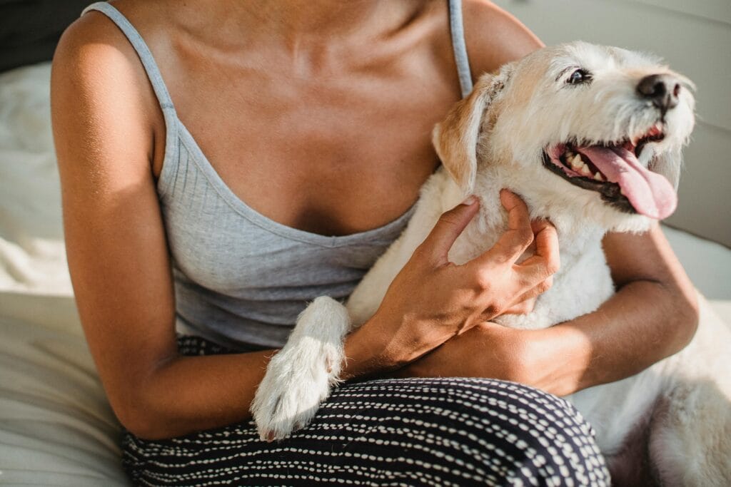 Woman enjoying a relaxing moment indoors with her happy dog. Perfect example of companionship.