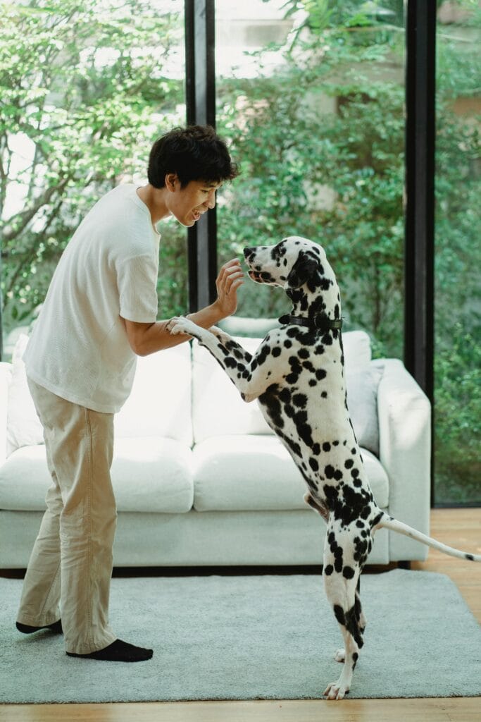 A man holds a Dalmatian dog standing on hind legs indoors.