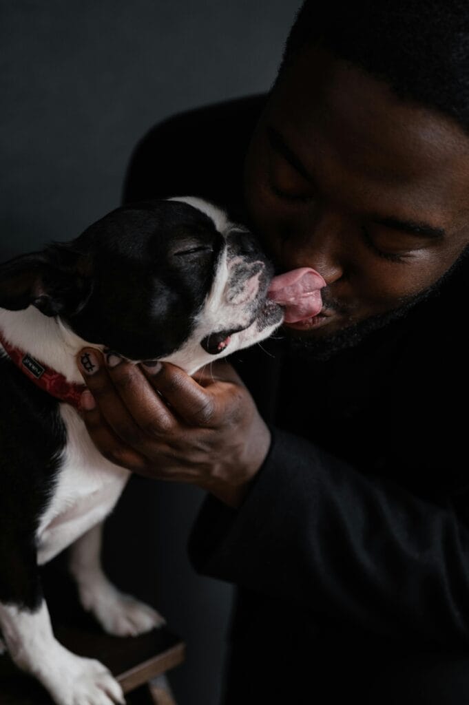 A heartwarming interaction showcasing a man and his Boston Terrier sharing a tender moment indoors.